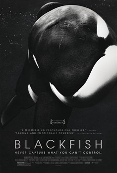 Черный плавник (Blackfish), Габриэла Каупертвэйте - фото 7565