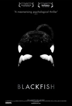 Черный плавник (Blackfish), Габриэла Каупертвэйте - фото 7566