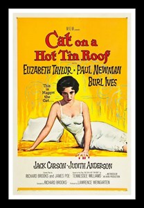 Кошка на раскаленной крыше (Cat on a Hot Tin Roof), Ричард Брукс