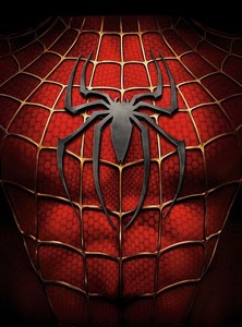 Человек-паук 3: Враг в отражении (Spider-Man 3), Сэм Рэйми